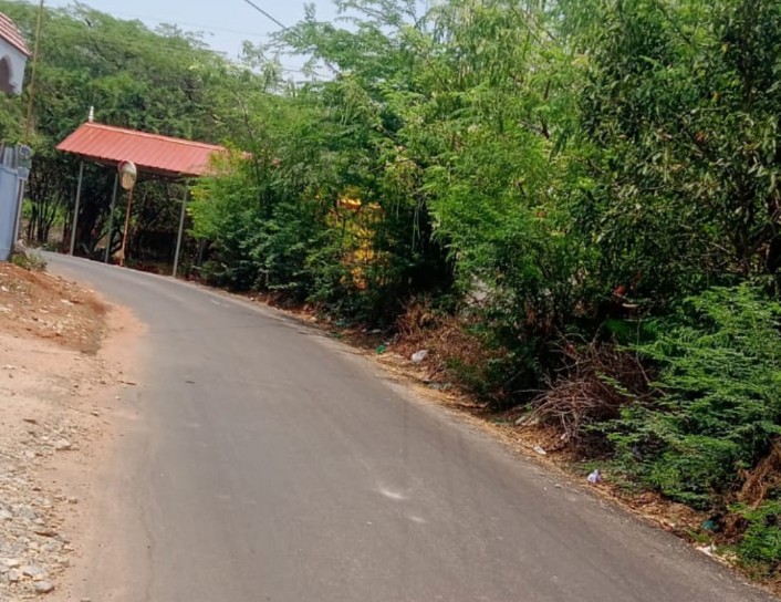 சாத்தான்குளம் நெடுஞ்சாலைகளில் முட்செடிகளை அகற்ற கோரிக்கை- நாம் தமிழர் கட்சியினர் நெடுஞ்சாலைத்துறைக்கு மனு