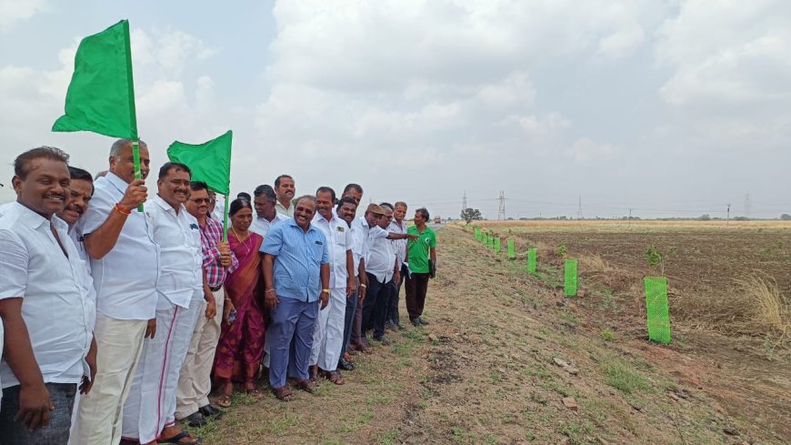 ஒரு கோடி மரங்கள் நடும் திட்டம் :விளாத்திகுளம் சட்டமன்ற உறுப்பினர் மார்கண்டேயன் தலைமையில் நடைபெற்றது.