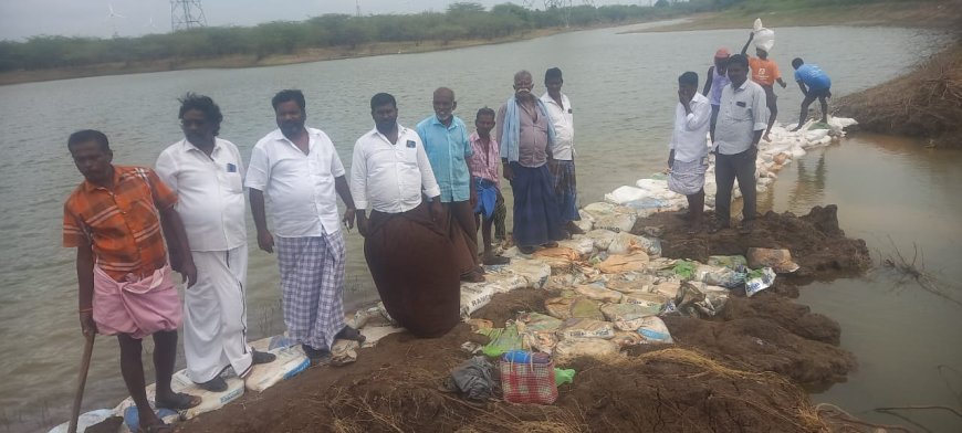 ஓட்டப்பிடாரம் கனமழை வெள்ளத்தில் ராசங்குளம் கண்மாயில் ஏற்பட்ட உடைப்பை தனது சொந்த செலவில் 1 லட்சம் ரூபாய் மதிப்பில் சீரமைத்த கொடுத்த ஊராட்சி மன்ற தலைவர் இளையராஜா.