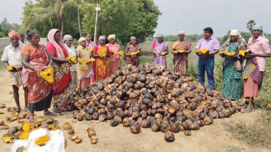 தாமிரபரணி ஆற்றுக் கரையோரம் விதைப்பதற்காக சேகரித்து சேமித்து வைத்திருந்த  1.5 லட்சம் பனை விதைகள் வெள்ளத்தில் அடித்துச் செல்லப்பட்டது .